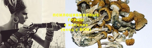 мескалин Новокубанск