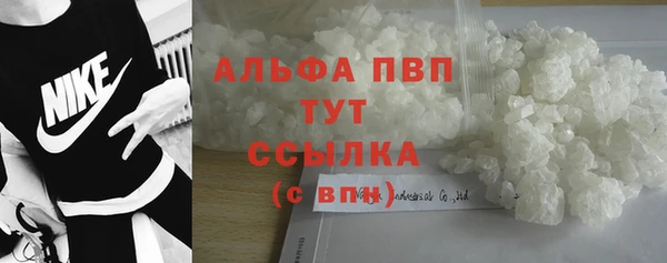соль ск Новодвинск