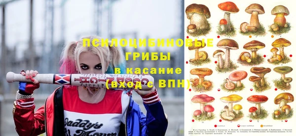 соль ск Новодвинск