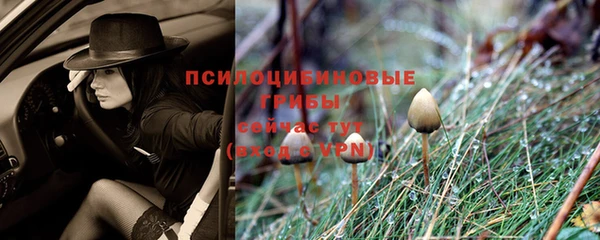 мескалин Новокубанск