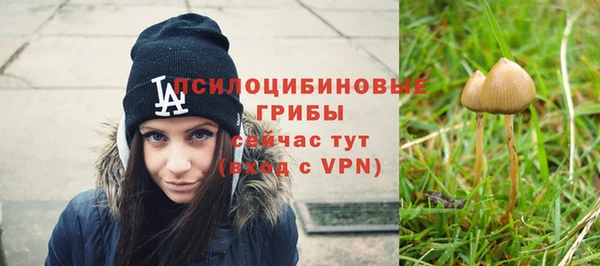 соль ск Новодвинск