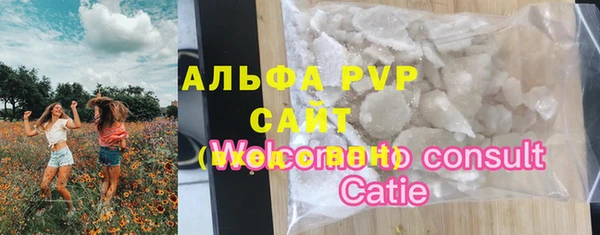 соль ск Новодвинск