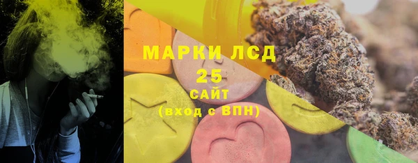 соль ск Новодвинск
