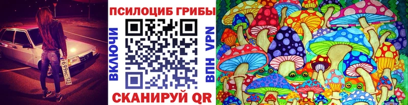 Псилоцибиновые грибы мицелий  гидра tor  Алатырь  дарнет шоп 