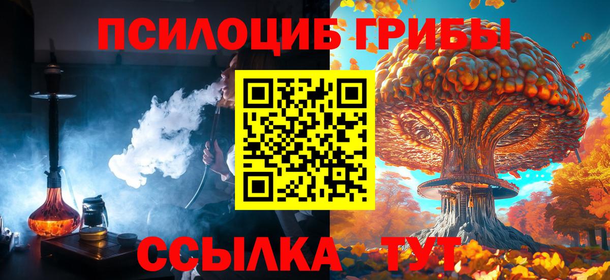 Псилоцибиновые грибы GOLDEN TEACHER  Вход с VPN  Псилоцибиновые грибы Cubensis  купить наркоту  Алатырь 