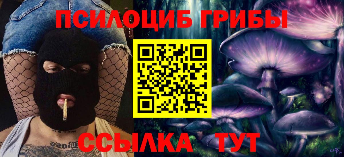 Псилоцибиновые грибы прущие грибы  Алатырь  Галлюциногенные грибы GOLDEN TEACHER 