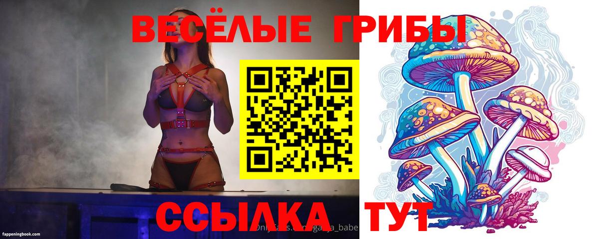 где найти наркотики  Псилоцибиновые грибы GOLDEN TEACHER  Алатырь  Вход с VPN  Галлюциногенные грибы мицелий 